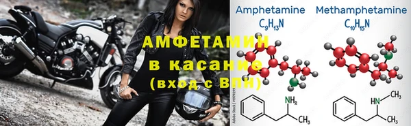 шишки Белоозёрский