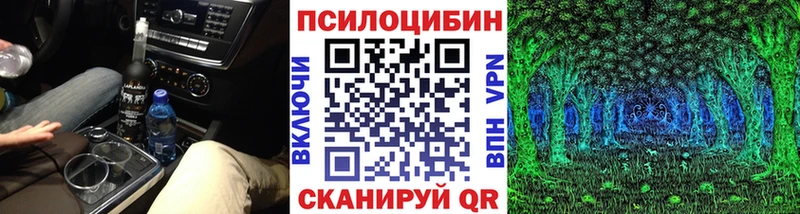 купить  сайты  Кедровый  Галлюциногенные грибы ЛСД 